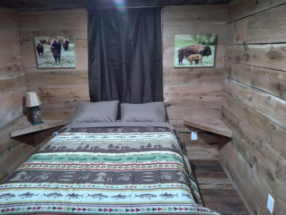 Cabin With A Tree House On A Buffalo Farm . Marshall المظهر الخارجي الصورة