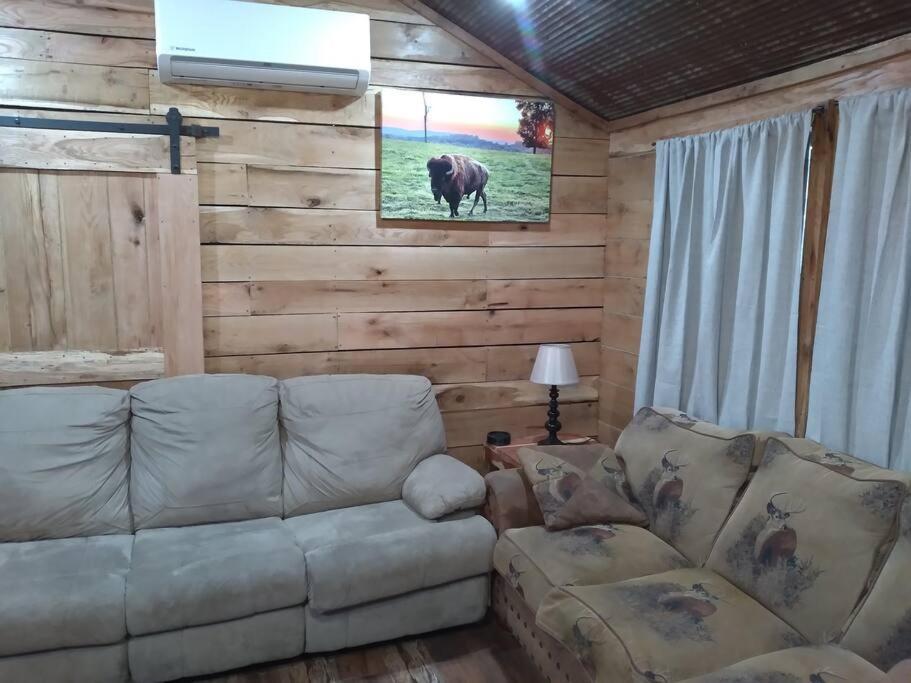 Cabin With A Tree House On A Buffalo Farm . Marshall المظهر الخارجي الصورة
