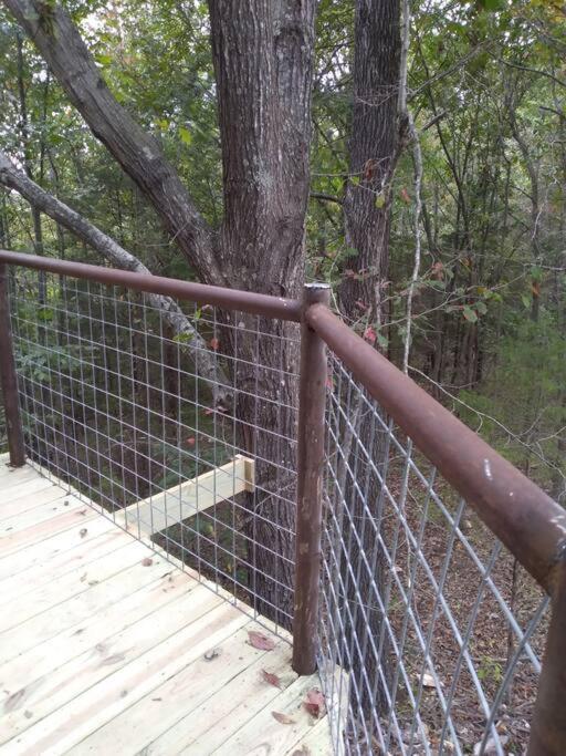 Cabin With A Tree House On A Buffalo Farm . Marshall المظهر الخارجي الصورة
